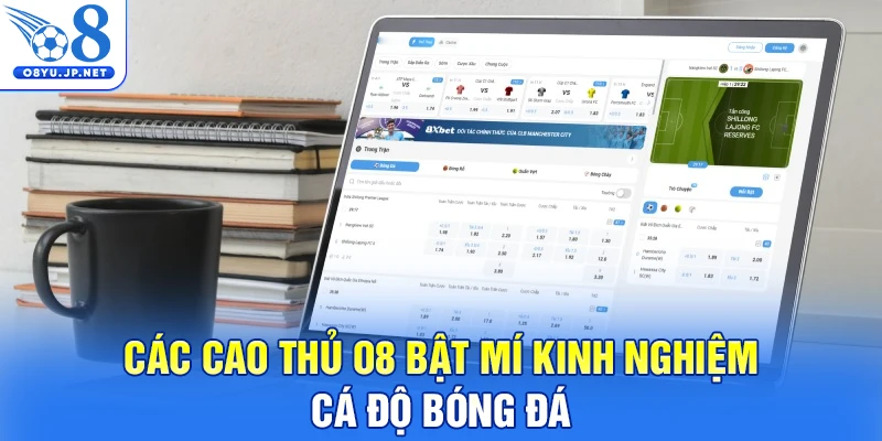 Các cao thủ O8 bật mí kinh nghiệm cá độ bóng đá