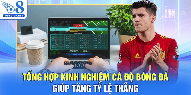 Tổng Hợp Kinh Nghiệm Cá Độ Bóng Đá Giúp Tăng Tỷ Lệ Thắng